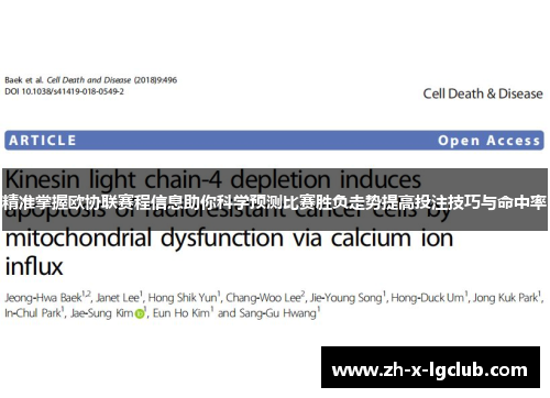 精准掌握欧协联赛程信息助你科学预测比赛胜负走势提高投注技巧与命中率 精准掌握欧协联赛程信息助你科学预测比赛胜负走势提高投注技巧与命中率